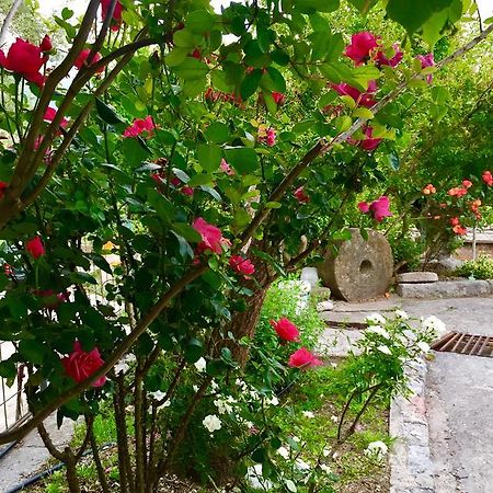 Apartmani Peric بار المظهر الخارجي الصورة
