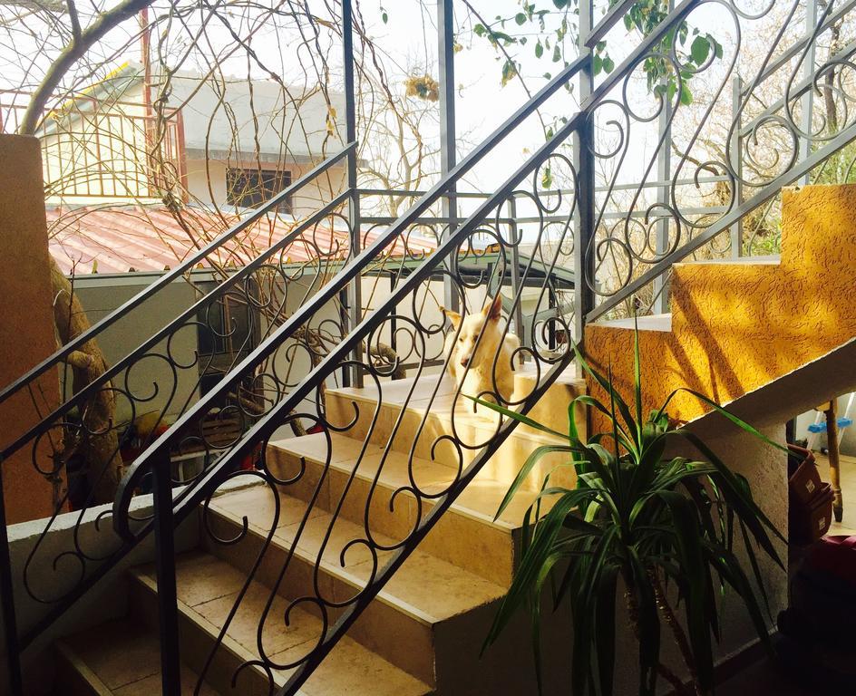 Apartmani Peric بار المظهر الخارجي الصورة