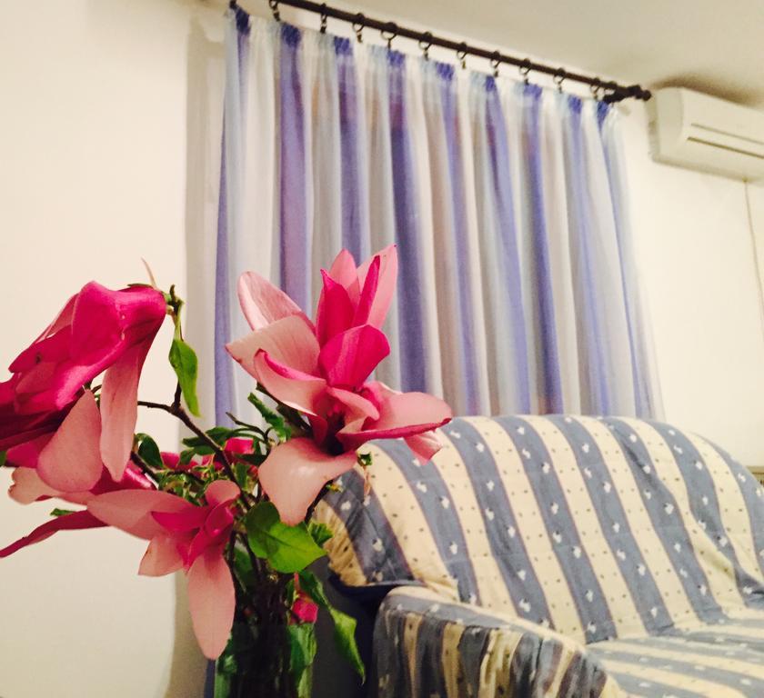Apartmani Peric بار المظهر الخارجي الصورة
