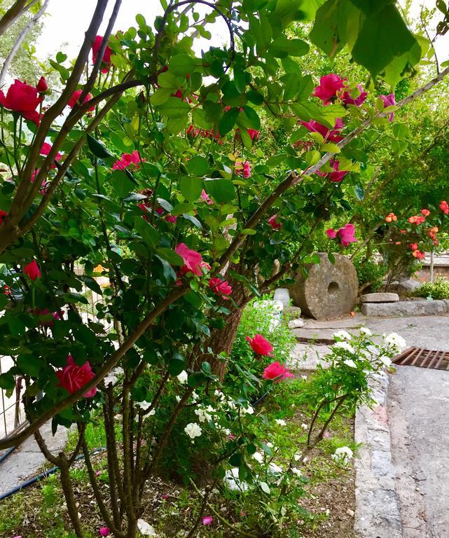 Apartmani Peric بار المظهر الخارجي الصورة